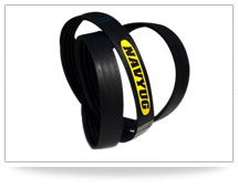 Banded Belts Banded Belts